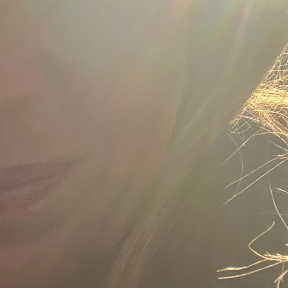 Meet your Posher - Picture 1 of 1